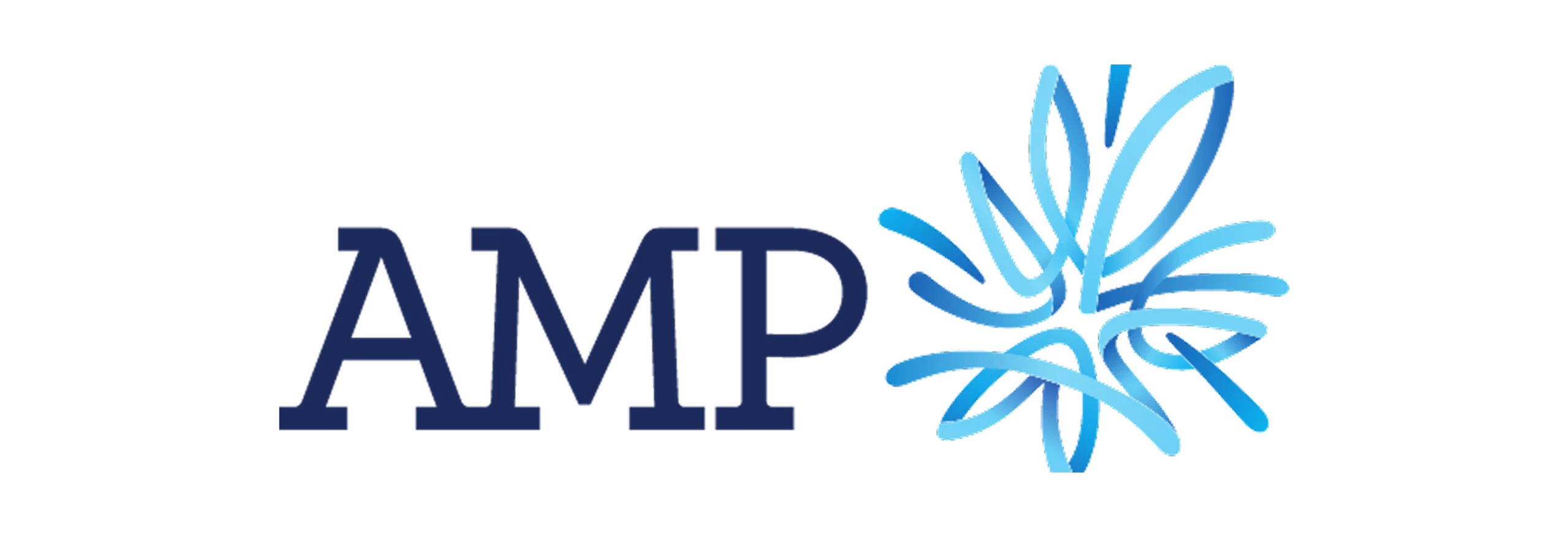 AMP (1)